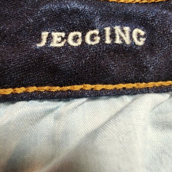 American Eagle Outfitters Womens Super Stretch Distressed Jegging Jeans Size 4 R - Picture 4 of 5